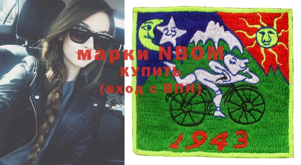 спайс Няндома