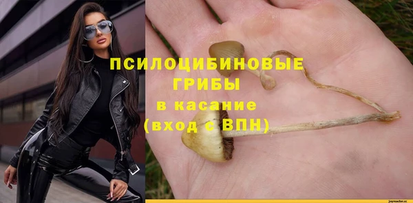 винт Осинники