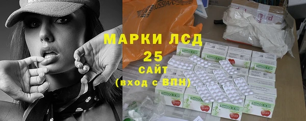 спайс Няндома