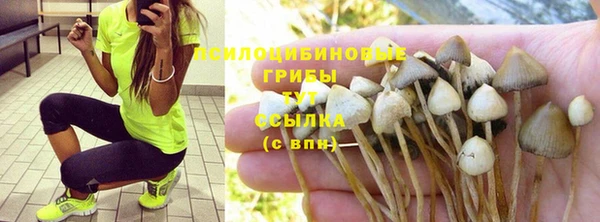 ALPHA-PVP Осташков