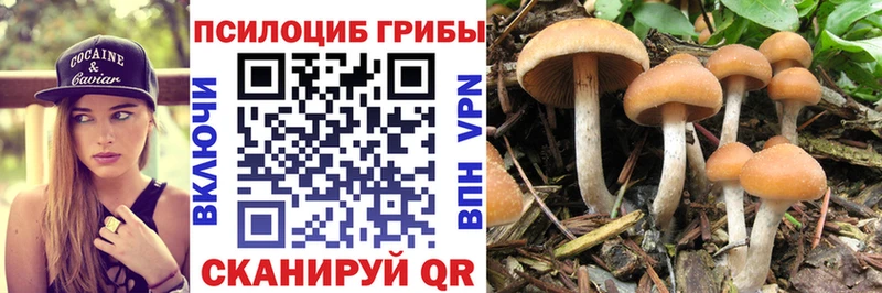 Галлюциногенные грибы мицелий  blacksprut зеркало  Рыльск 